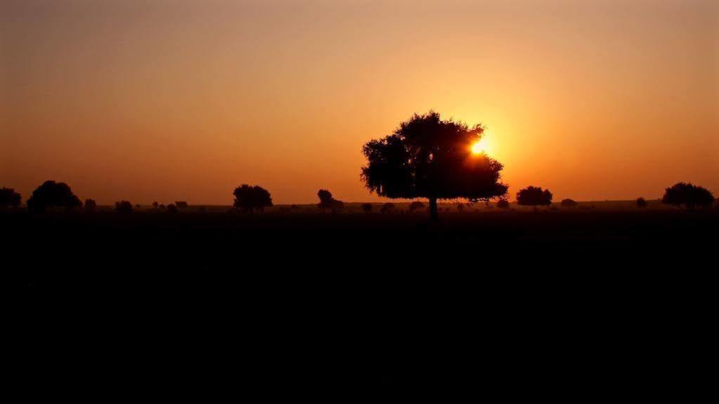 Damodra Desert Camp Jaisalmer Εξωτερικό φωτογραφία